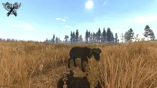 阿拉德漂流记：跨服那点事儿，你的DNF青春在哪张船票上？